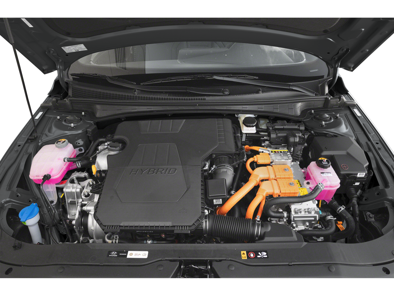 2025 Hyundai Elantra HEV Limited